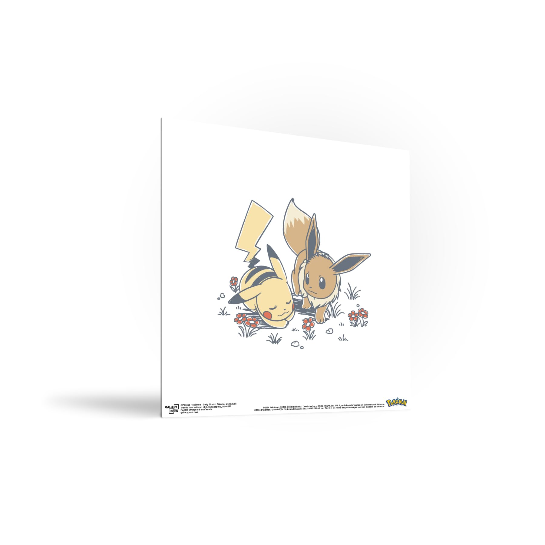 Amazon.com: Trends International Gallery Pops Pokémon - Daily